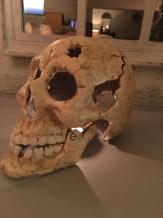 Grote anatomische schedel, uit gietijzer white rust
